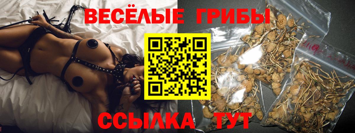 Псилоцибиновые грибы MAGIC MUSHROOMS Воскресенск